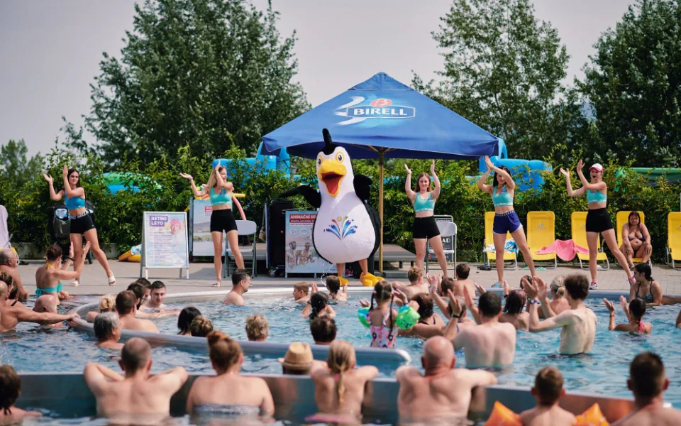 Aqualand Moravia vpustil mezi tobogány zvíře. Tučňák s rukávky se jmenuje Eda