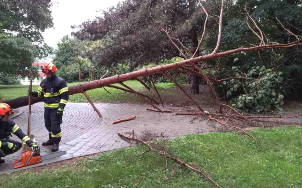 V Brně odstraňovali hasiči ze silnic stromy a větvě.