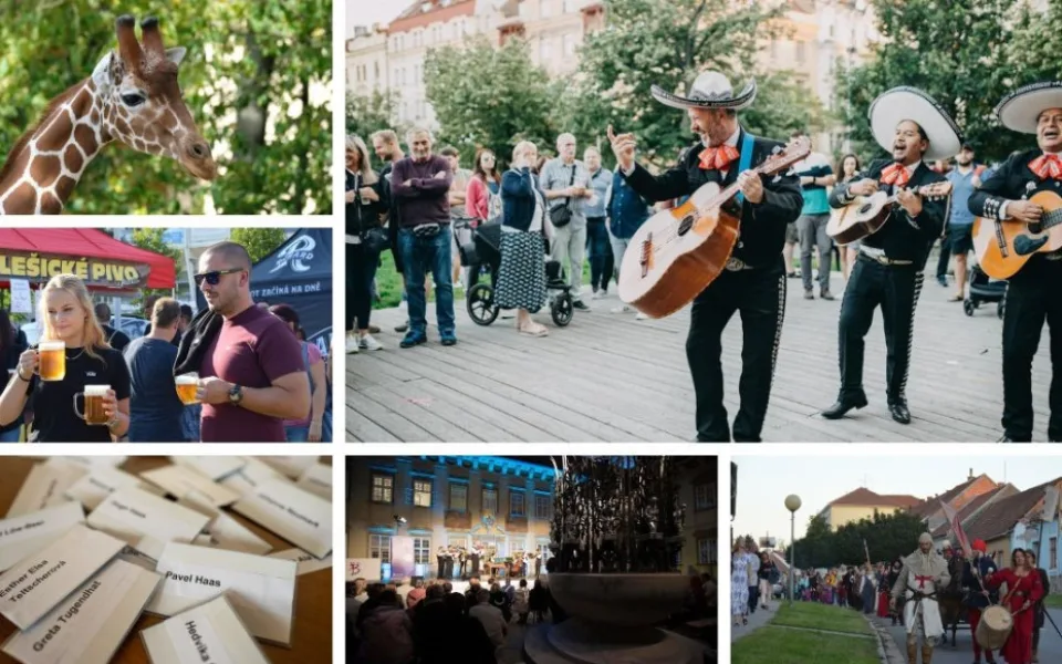 Kam poslední prázdninový víkend na jihu Moravy? Do brněnské zoo nebo na festival židovské kultury
