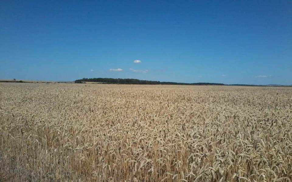 Ilustrační foto.