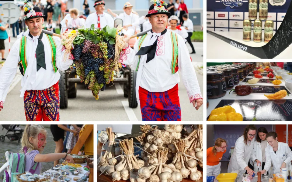 Kam o víkendu na jihu Moravy? Na vinobraní nebo na festival vědy a techniky