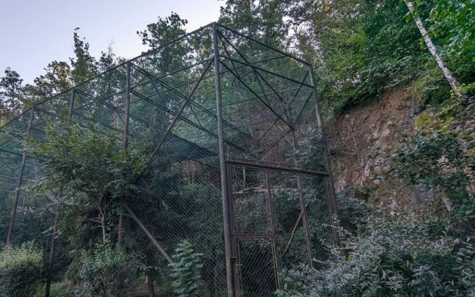 V brněnské zoo se rozhoupali. Opraví skálu, aby nepadala na hlavu orlům