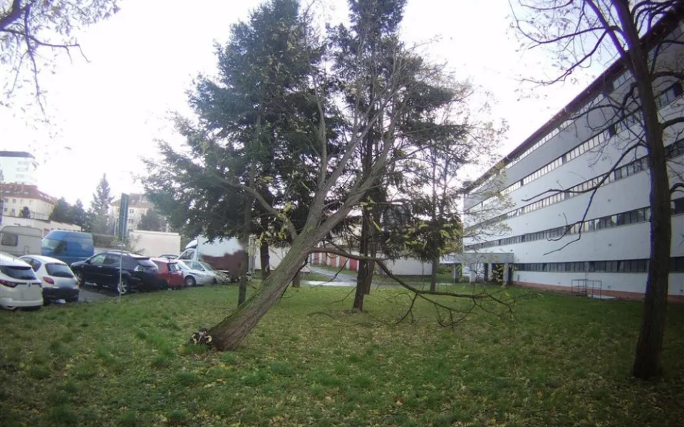 V Brně řádil silný vítr. Popadaly stromy, tašky ze střechy i ploty