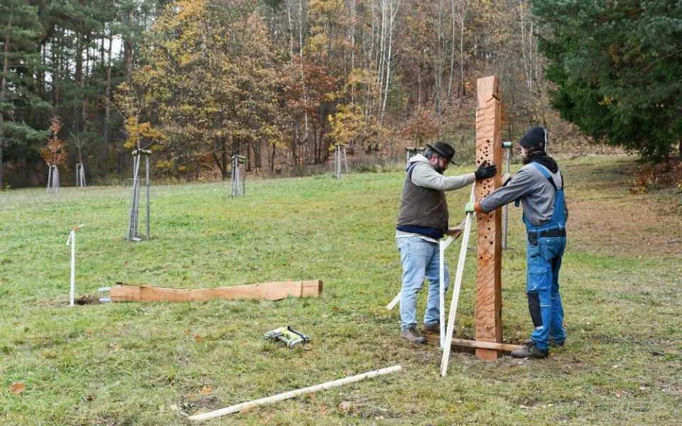 Do Blanska se vrátily pokácené akáty. Tamní umělec z nich vyrobil sochy