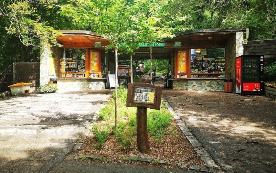 Brněnská zoologická letos netáhla. Může za to počasí, myslí si vedení