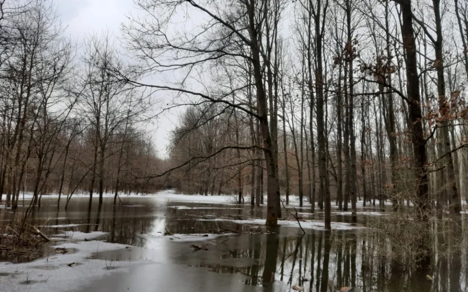 Lidé dostali zákaz vstupu do obory Soutok. Přírodní rezervaci na Břeclavsku zavalila voda