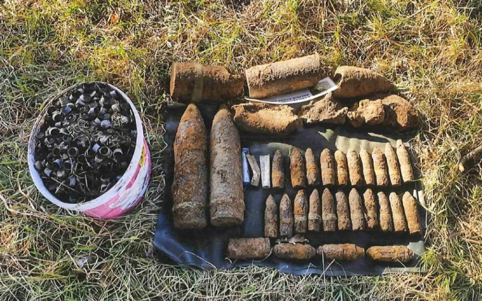 Pyrotechnici prohledávají les u Břeclavi. Odstraňují zbytky druhoválečné munice