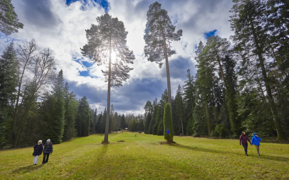 Kam o víkendu na jižní Moravě? Do arboreta nebo na maškarní v zoo