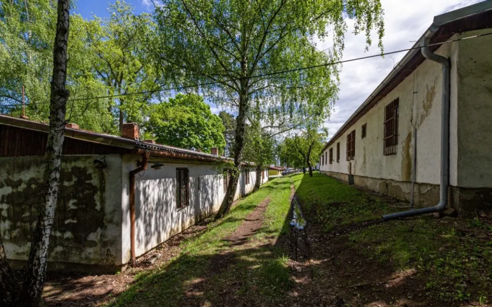 Úředníci v Brně nařídili umělcům, aby se vystěhovali z domků u Kraví hory. Ti se bouří a pryč nechtějí