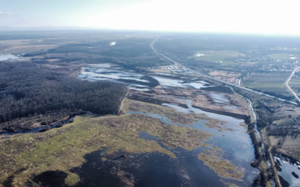Zatopená pole Břeclavsku lákají vzácné druhy. Přilétají tam první čejky