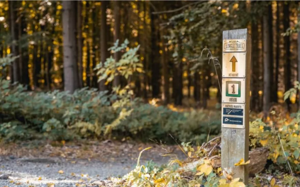Bezpečný relax pro cyklisty i pěší. Brněnští odbornící na lesy radí, jak zabránit kolizím i poškození přírody