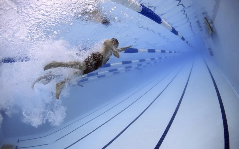 swimmers-79592_1280