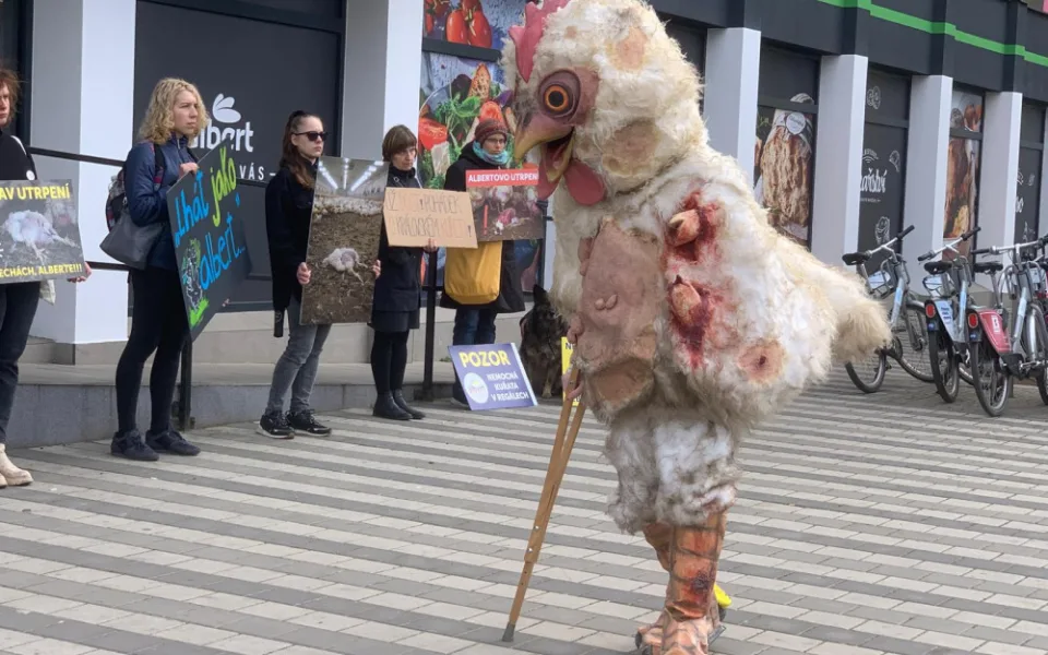 VIDEO: Aktivisté protestují před brněnským supermarketem. Chovejte kuřata v lepších podmínkách, požadují