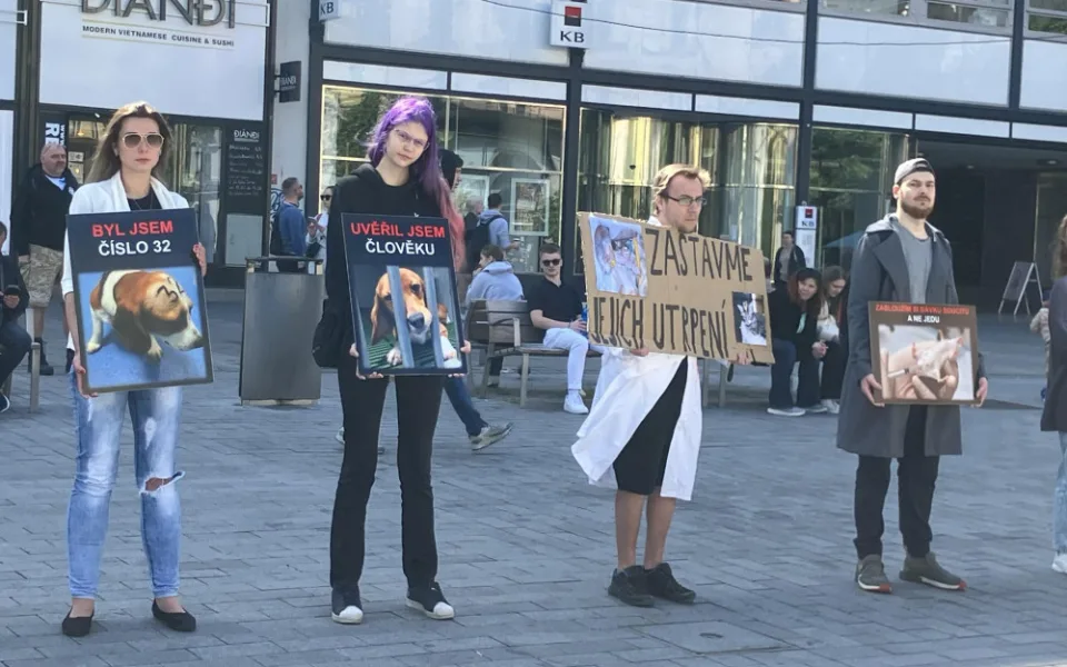 Aktivisté v Brně protestovali proti pokusům na zvířatech. Kolemjdoucí na ně útočně pokřikovali