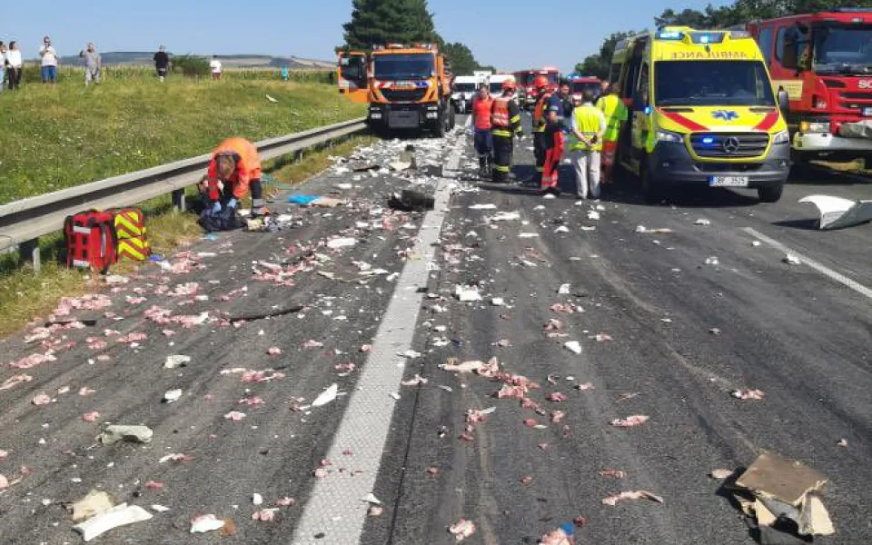 Nehoda kamionu uzavřela dálnici. Na vozovce zůstalo vysypané převážené maso
