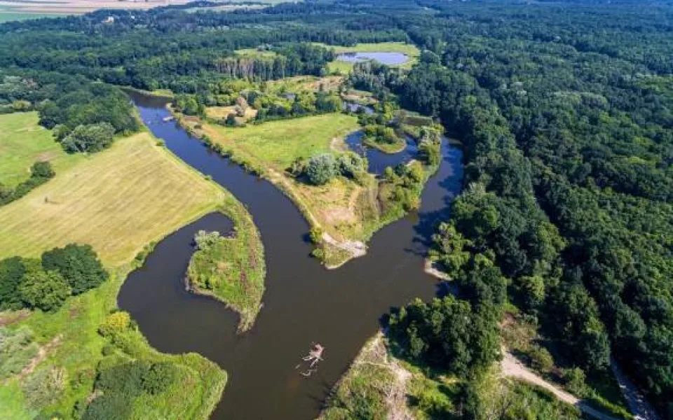 Povodí Dyje vysychá, upozorňují odborníci. Pomoct by mohla voda z Dunaje přivedená kanálem