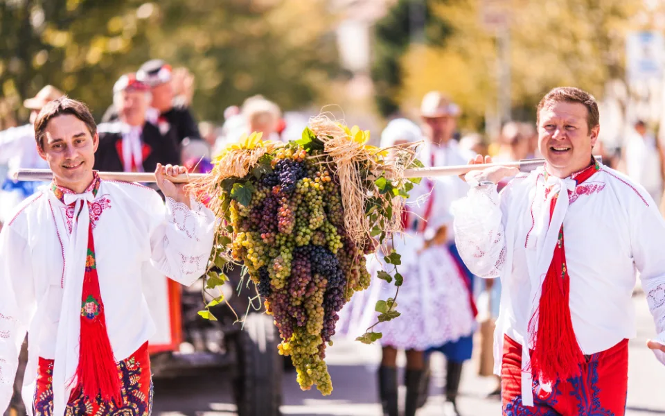 1698391382-img_4062