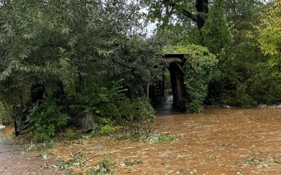 Silný vítr v brněnské zoo polámal větve. Zahrada dnes po třech dnech otvírá