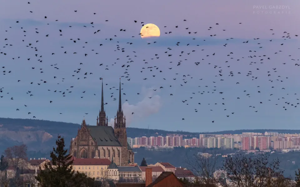 ilustrační foto