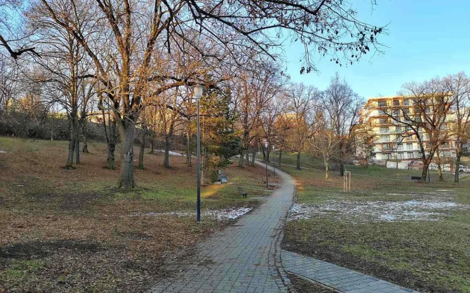 park-marie-restituty-20190206