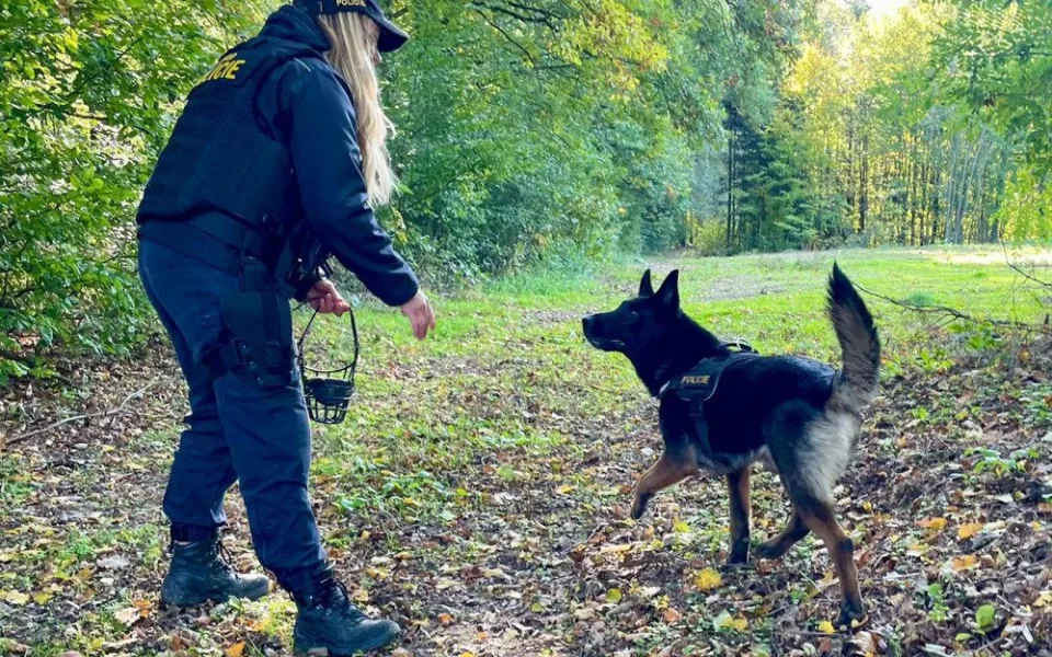 Policejní pes Kevin vypátral zloděje, kteří si z cizích zahrad na Znojemsku chtěli odnést konopí