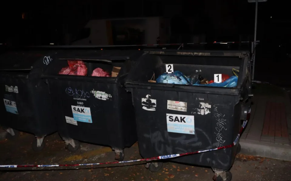 VIDEO: Lidé našli pod stromem odloženého novorozence. Policie po matce pátrá už měsíc