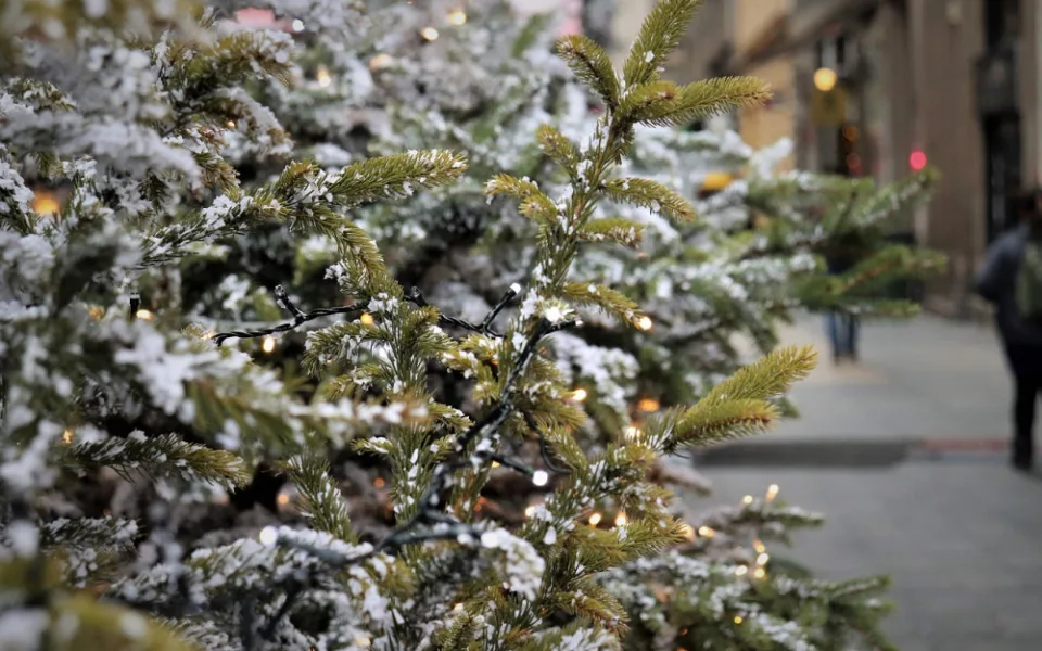 christmas-tree-4679463_1280
