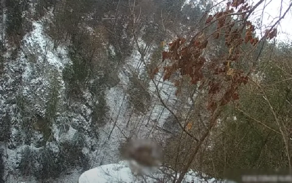 VIDEO: Mladík uvažující o sebevraždě uklouzl na okraji Macochy. Visel nad propastí jen za tenkou větvičku