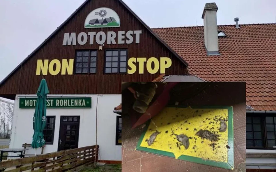 Mrtvé myši v kuchyni a stěny olezlé plísní. Inspektoři zavřeli motorest na dálnici u Brna