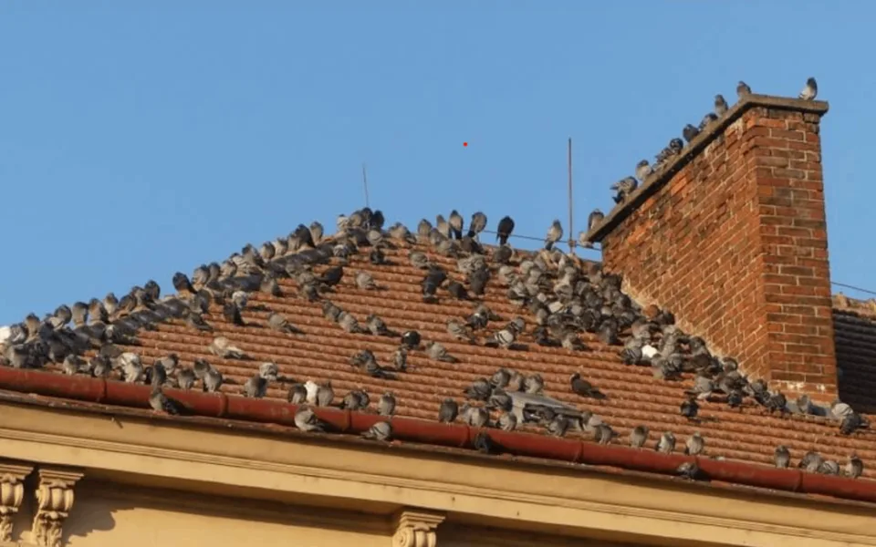 Ilustrační fotografie