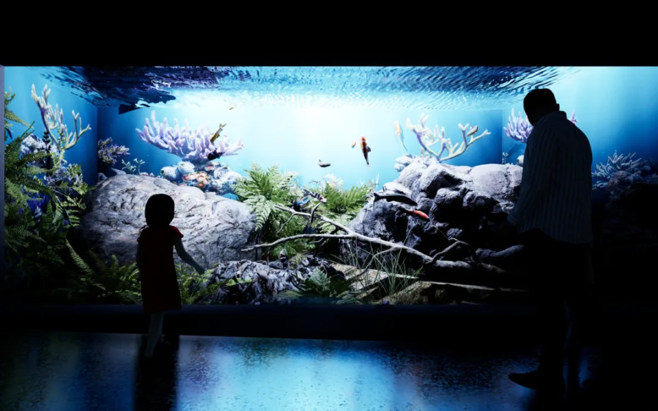 Zoo Hodonín čeká rozšiřování. V plánu jsou pavilony za stovky milionů