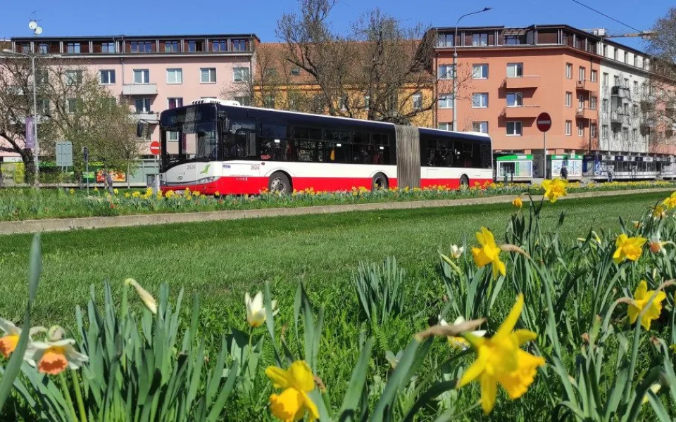 Dopravní podnik města Brna zahajuje nový výzkum. Zaměří se na prevenci nehodovosti