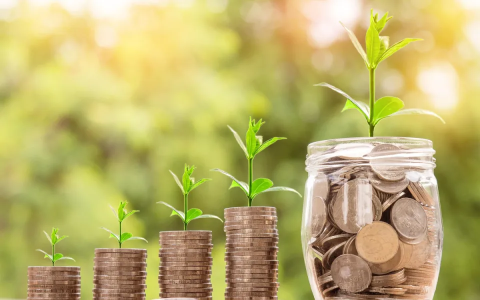 Jihomoravský kraj chce zvýšit finanční gramotnost mladých. Pomůžou sociální sítě
