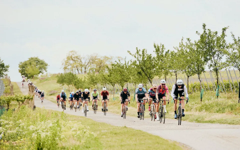 Tisícovka srdcařů mezi vinohrady. Seriál Road Classics odstartoval rekordem
