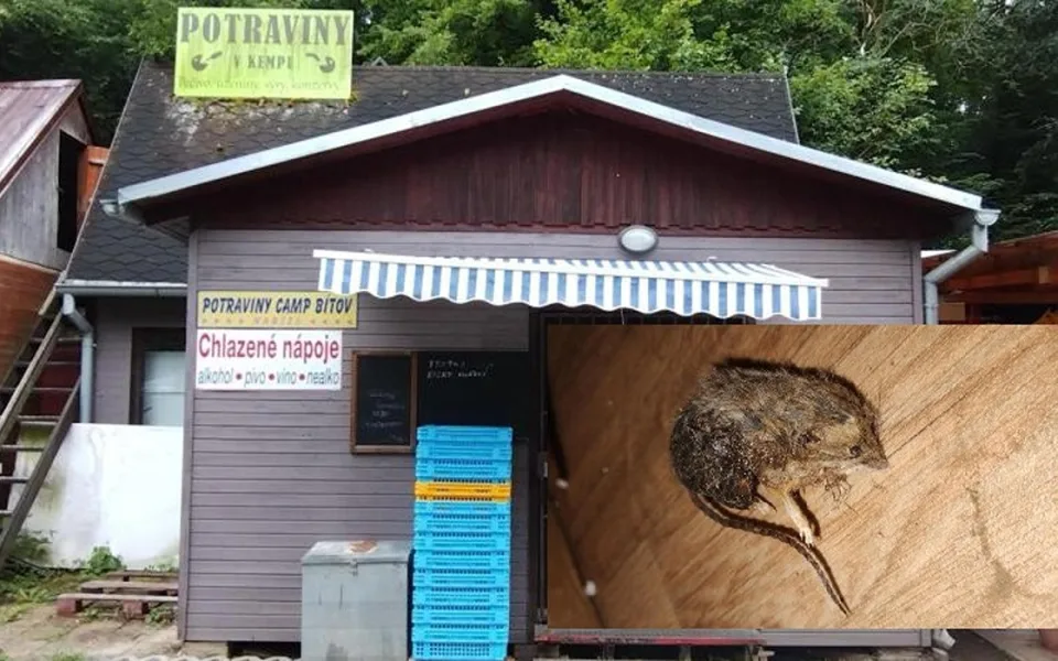 Špína a mrtvé myši na podlaze. Inspektoři zavřeli stánek v kempu Bítov