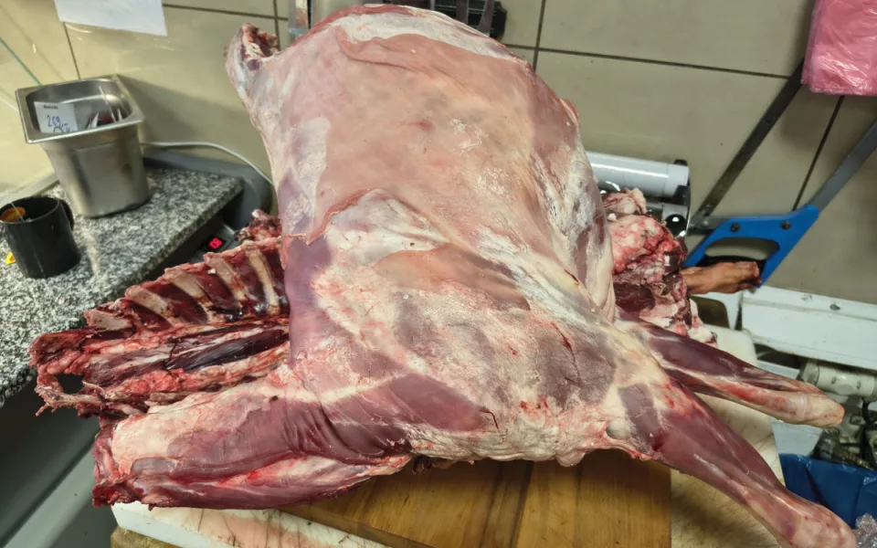 Salmonela na talíři. Brněnské halal řeznictví prodávalo problematické maso