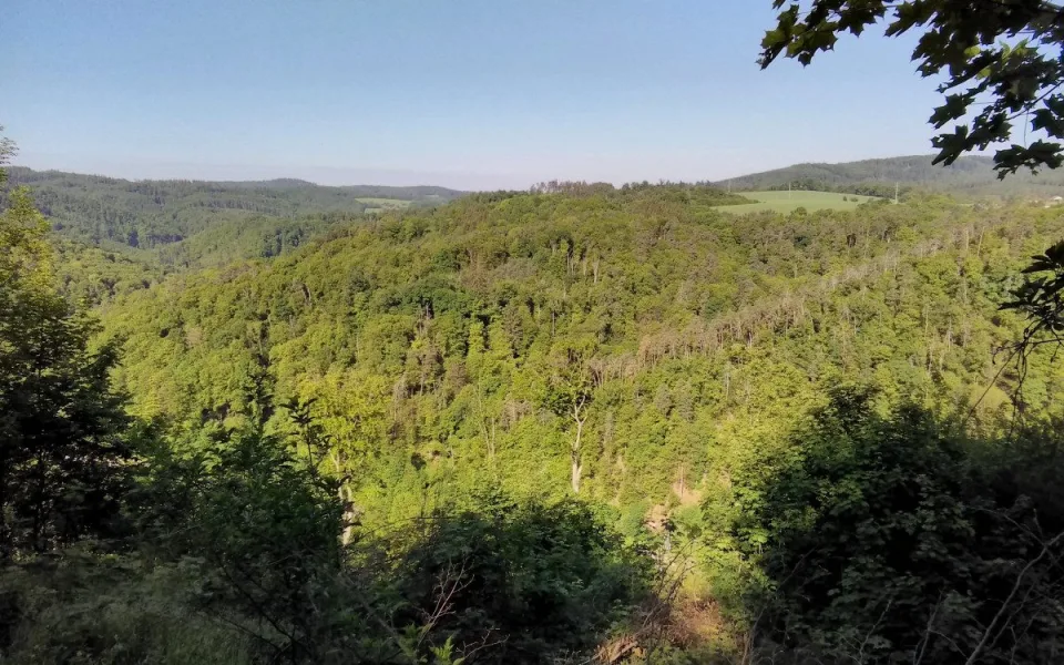 FOTO: Blansko má novou přírodní rezervaci. Jde o staré listnaté lesy v Olešné