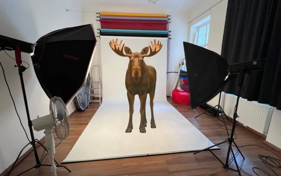 Ilustrační fotografie