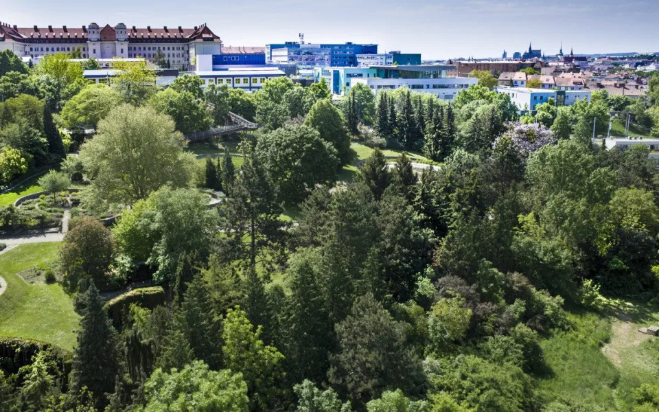 Botanickou zahradu trápí sucho. Brněnská univerzita chystá vlastní vrt 