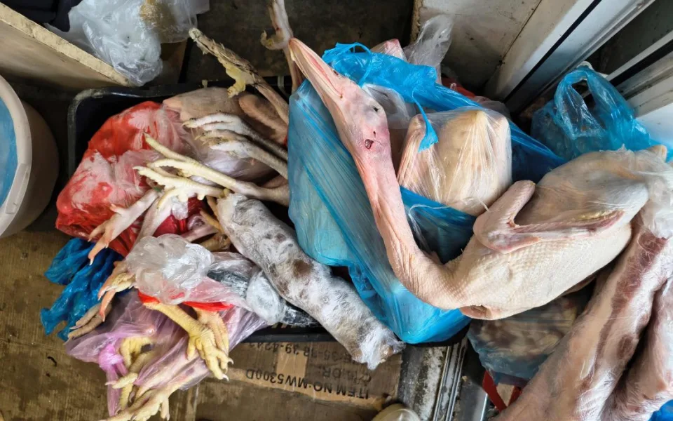 Inspektoři v brněnské tržnici Vinamo objevili stovky kil masa neznámého původu
