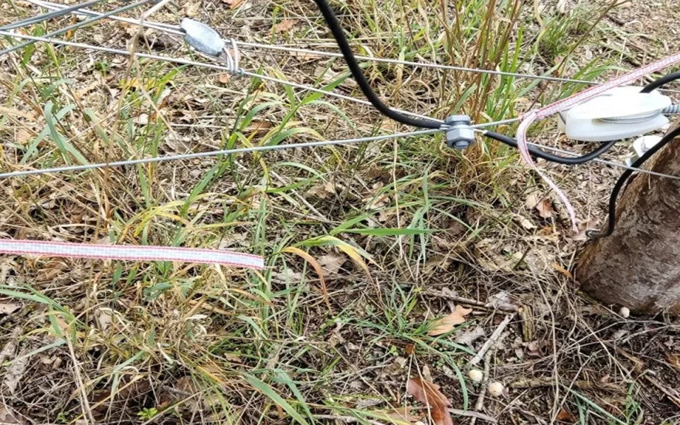 V Podyjí někdo poškodil elektrické ohradníky, ohrozil tím divoké koně