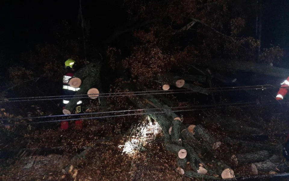 spadlé stromy poškodily trakční vedení