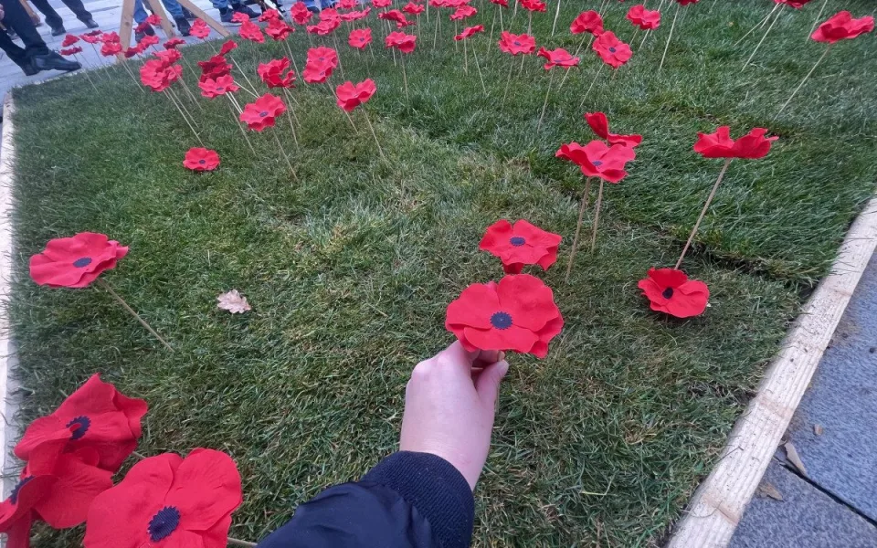 Lidé na Moravském náměstí v Brně zasadili vlčí máky jako symbol úcty k válečným veteránům