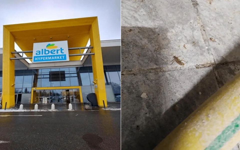 Inspektoři zavřeli pekárnu v brněnském Albertu. Provozovnu v Tkalcovské obýval hmyz