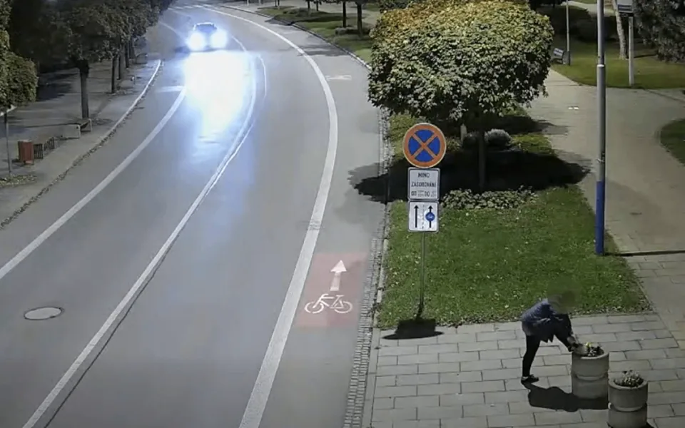 Ženě z Břeclavi učarovaly květiny z městských záhonů. Nosila si je domů