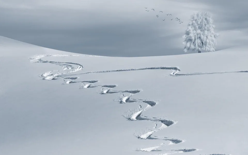 Ilustrační fotografie