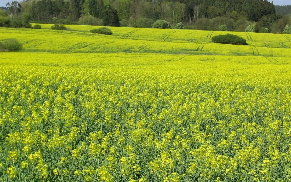 landscape-588235_1280
