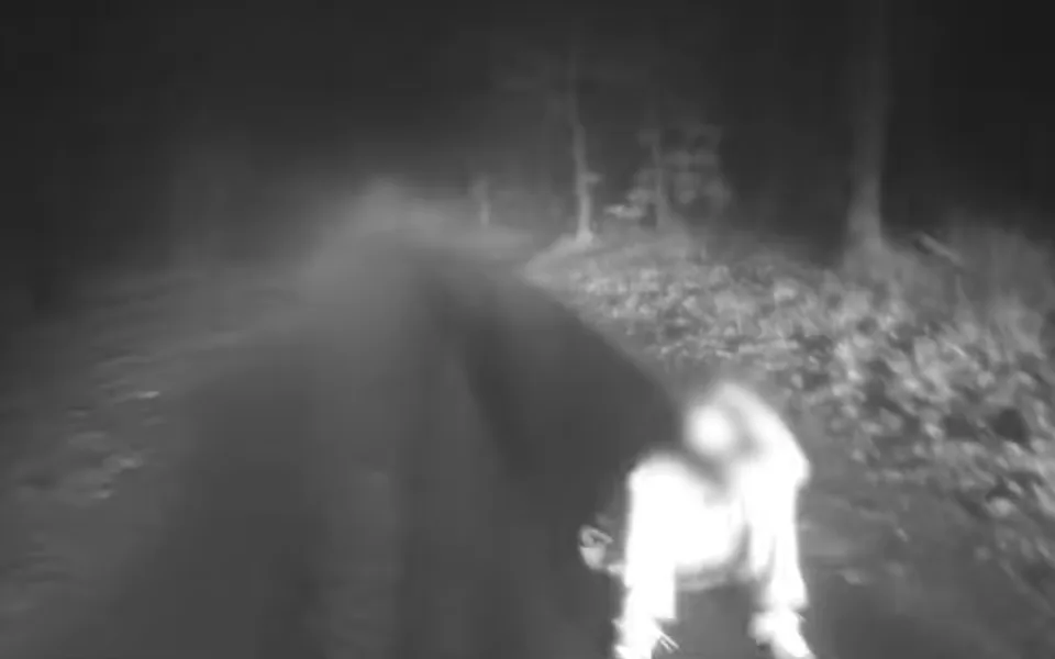 Policie ČR: Pátrání v noci skončilo šťastně