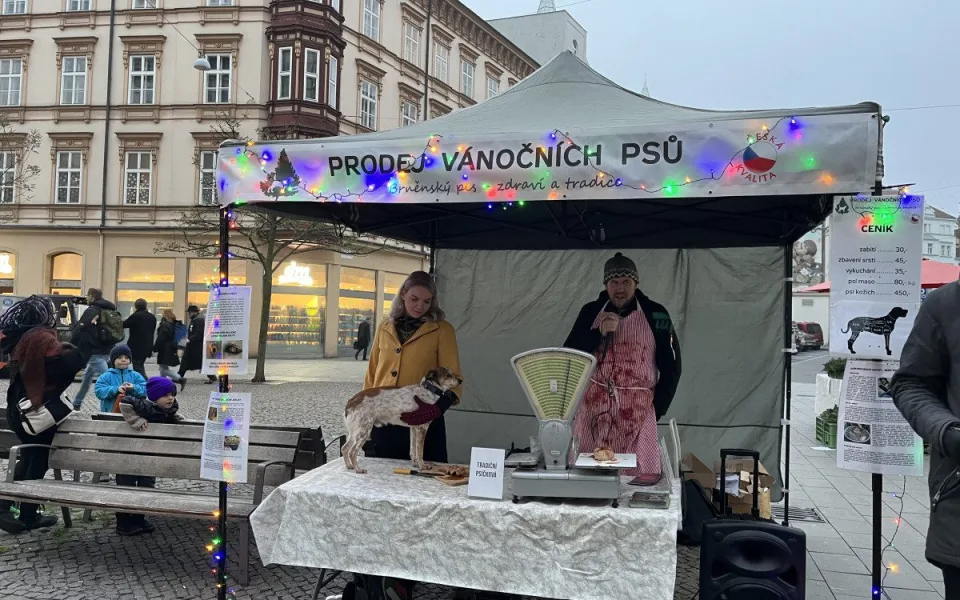 Kapři cítí bolest, míní aktivisté z Brna. Místo ryb nabízejí vánoční psy