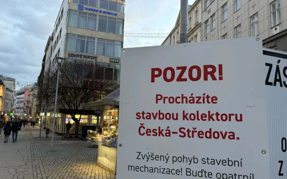 Javory na České v Brně půjdou během ledna k zemi, ustoupí výstavbě kolektoru